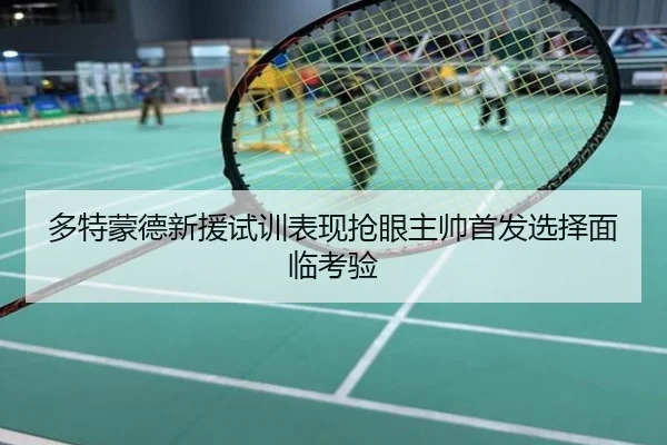 多特蒙德新援试训表现抢眼主帅首发选择面临考验