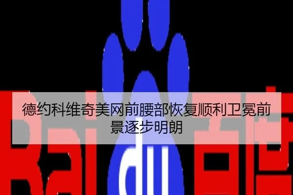 德约科维奇美网前腰部恢复顺利卫冕前景逐步明朗